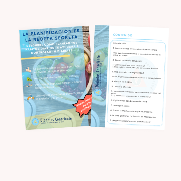Diabetes consciente_la_planificacion_es_la_receta_secreta_indice
